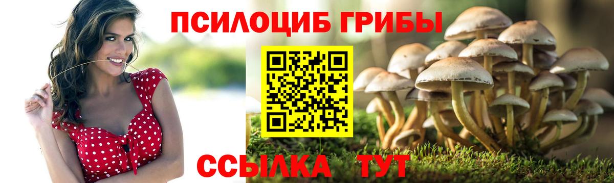 Великий Устюг  Псилоцибиновые грибы Magic Shrooms  Вход с VPN  Псилоцибиновые грибы Magic Shrooms 